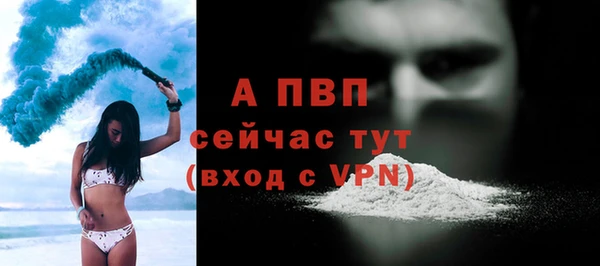 apvp Алексин