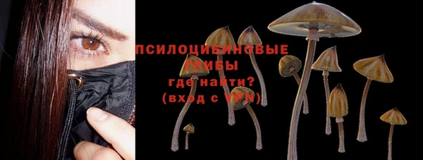 твердый Алексеевка