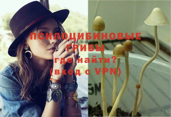 apvp Алексин