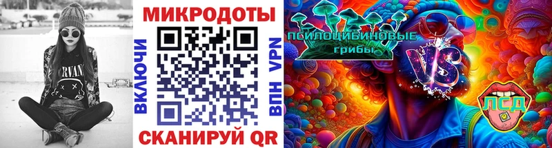 наркота  МЕГА ссылки  Псилоцибиновые грибы Psilocybine cubensis  Ачхой-Мартан 